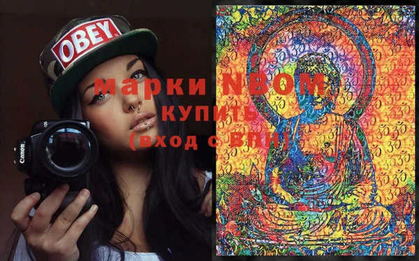 трава Гусиноозёрск