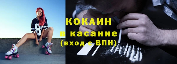 трава Гусиноозёрск