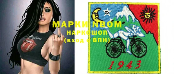 трава Гусиноозёрск