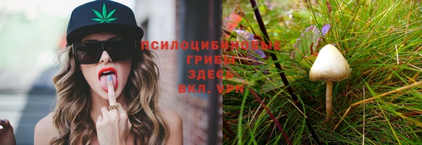 бутират Тайга