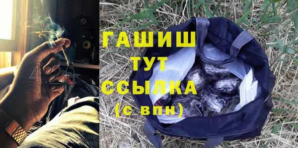 трава Гусиноозёрск