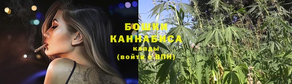 ALPHA-PVP Гусев