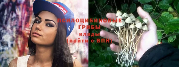 ALPHA-PVP Гусев