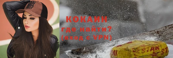 ALPHA-PVP Гусев
