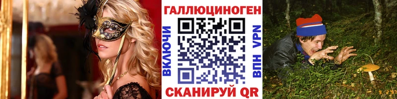 Псилоцибиновые грибы Cubensis  даркнет состав  Емва  дарнет шоп 